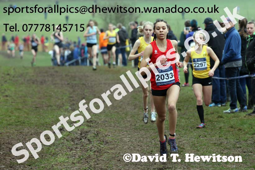 Womens under-17s Inter Counties Cross Country, Prestwold Hall, Loughborough. Photo: David T. Hewitson/Sports for All Pics